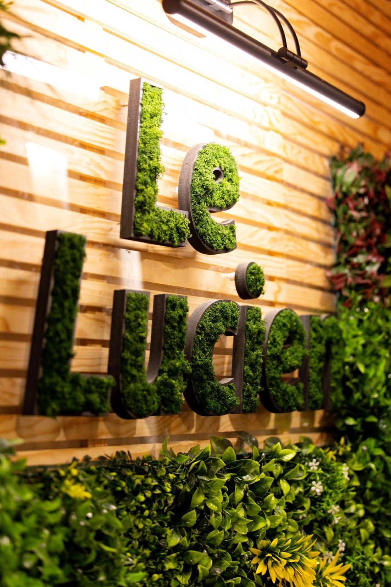 Le Lucien Eco-appart'hotel - - Centre - Wifi - Parking Prive - Classe 4 Etoiles * Angoulême