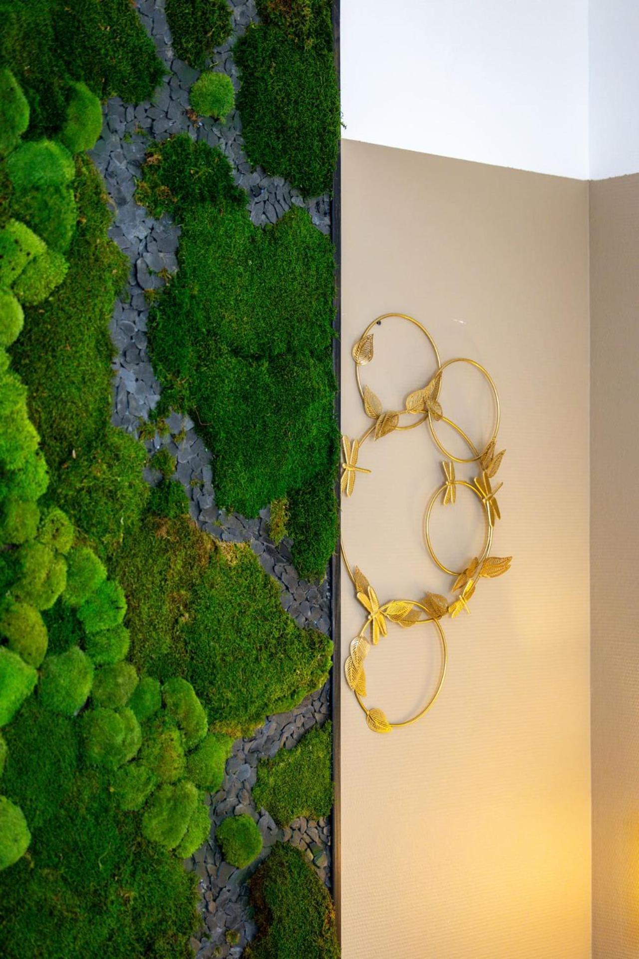 Le Lucien Eco-appart'hotel - - Centre - Wifi - Parking Prive - Classe 4 Etoiles